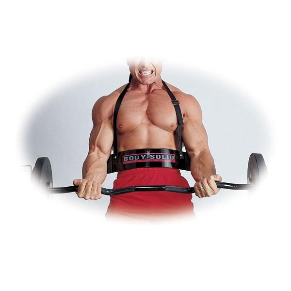 JK Sportvertrieb Profi Shop. Body Solid Biceps Blaster zum top Preis