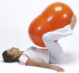 Zeige Details für Senso´o´Roll Physiorolle Bild von Senso´o´Roll Physiorolle