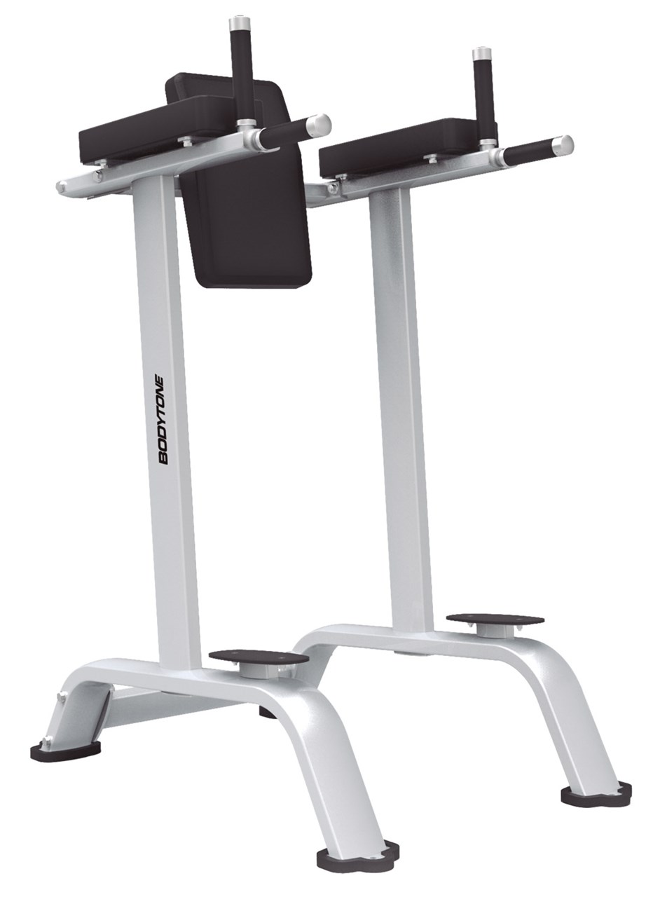 Bild von BODYTONE EVOLUTION - Dip And Knee Raise
