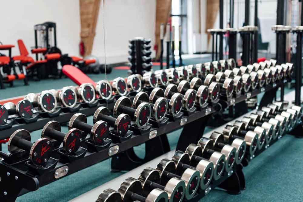 Watson online eco dumbbells