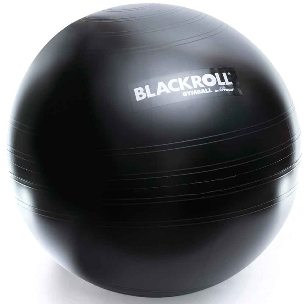 Picture for category BLACKROLL GYMBALL 65