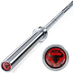 Zeige Details für ATX Bulls Bearing Bar-MK +700 kg + Federstahl + gelagert Bild von ATX Bulls Bearing Bar-MK +700 kg + Federstahl + gelagert