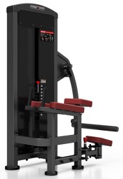 Zeige Details für MARBO SPORT MP-U222 - Gluteusstation Bild von MARBO SPORT MP-U222 - Gluteusstation