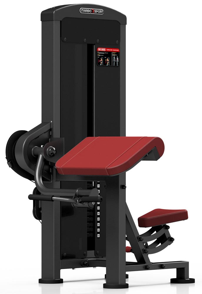 Picture of MARBO SPORT MP-U232 - Biceps Curl