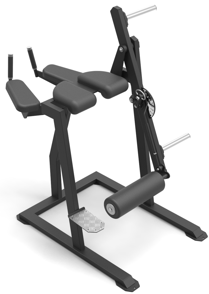 Picture of PROUD Champion Reverse Hyperextension Machine