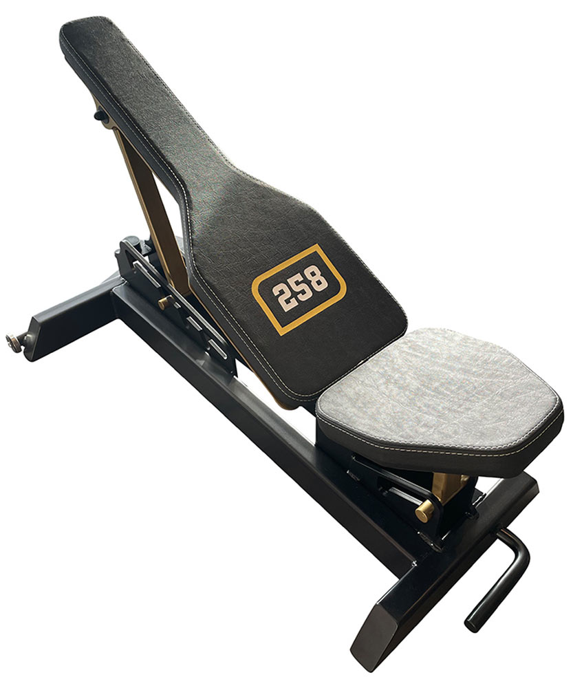 Bild von Watson Adjustable Pakulski Bench