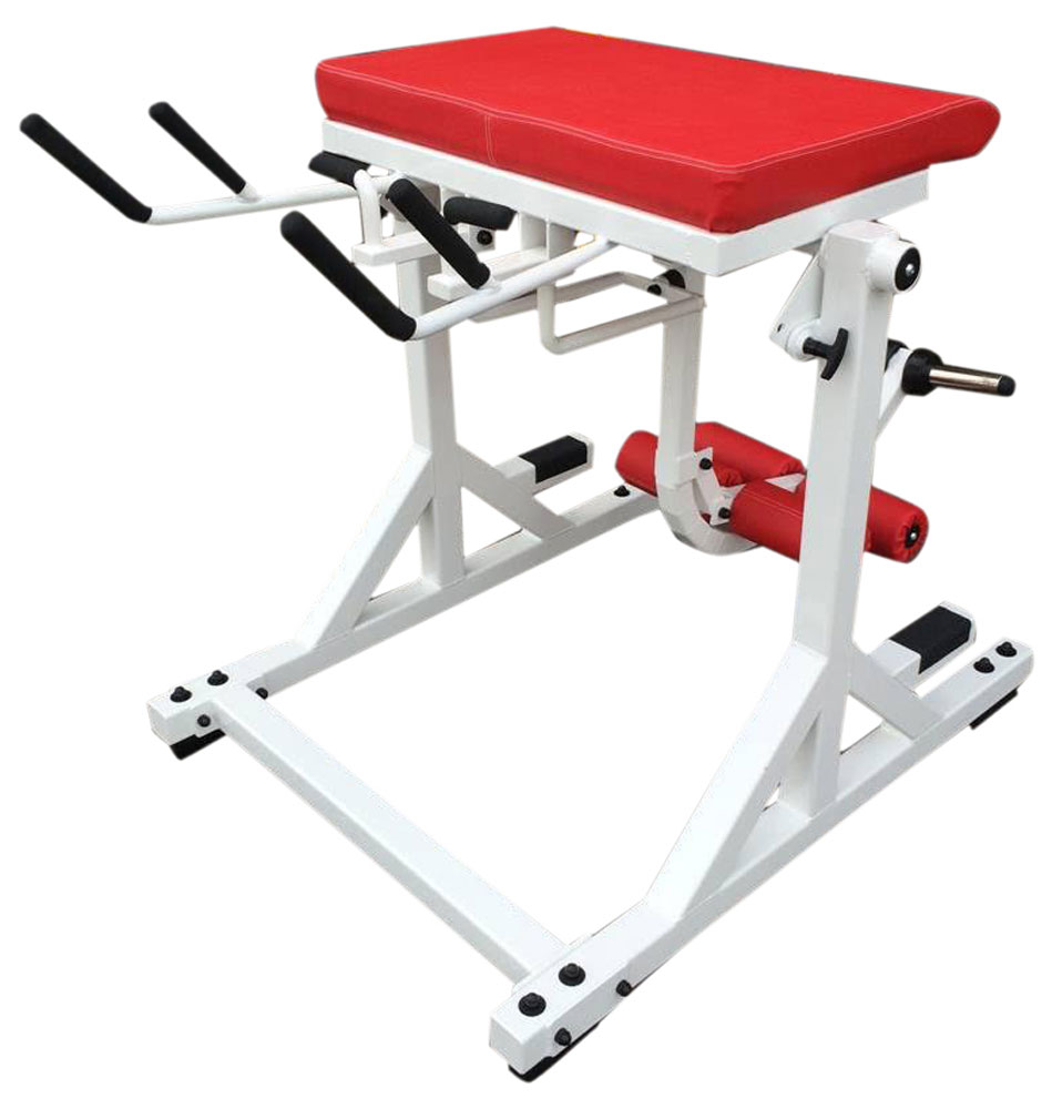 Bild von Watson Westside Reverse Hyper with Bent Pendulum - Plate Loaded