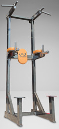 Bild von Watson Freestanding Chin / Dip / Leg Raise