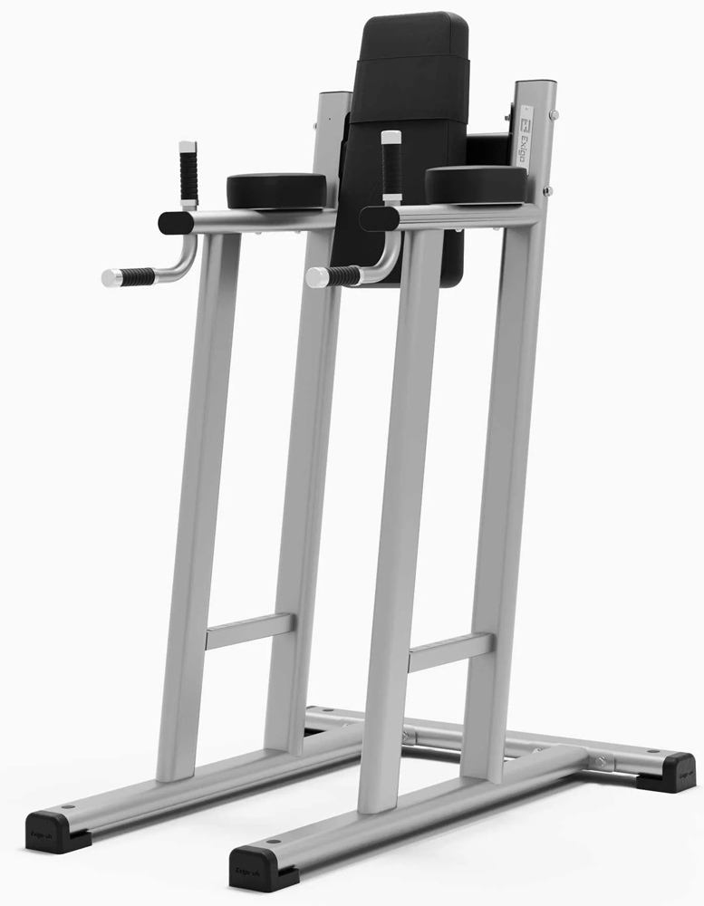 Bild von Exigo Leg Raise / Dip Station