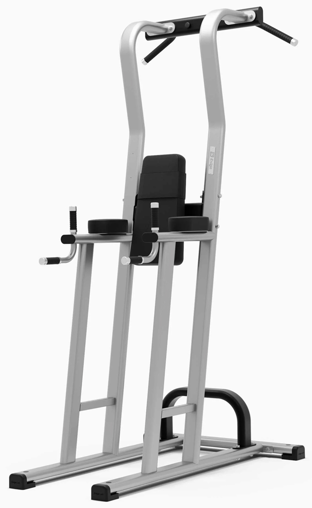 Bild von Exigo Rear Chin / Dip / Leg Raise Station