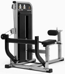 Zeige Details für Exigo Seated Calf Raise Bild von Exigo Seated Calf Raise