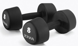 Zeige Details für ZVO Urethane Functional Tribell Studio Hanteln 1 bis 10 kg - 2025 Bild von ZVO Urethane Functional Tribell Studio Hanteln 1 bis 10 kg - 2025